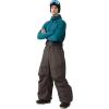GSOU SNOW Men Snow Pants Baggy Snowboard Pants Women Ski Pants Sport Insulated Loose Waterproof Windproof Winter Hiking Warm(Deep Coffee)